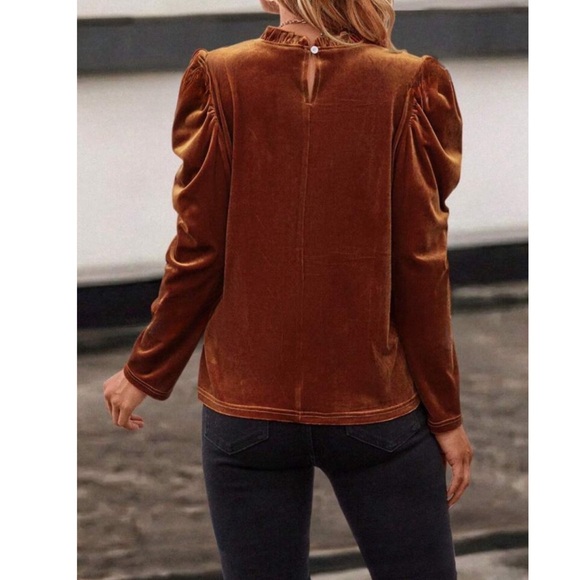 Velvet Leg-of-Mutton Sleeve Top - Picture 2 of 6